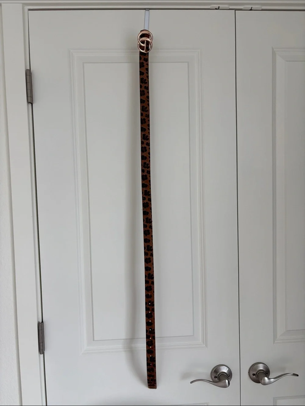 Leopard Print Slim Brown Women's Belt with Gold Buckle